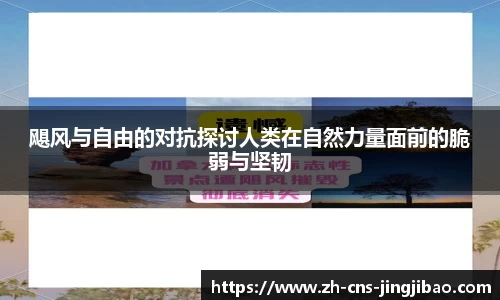 飓风与自由的对抗探讨人类在自然力量面前的脆弱与坚韧